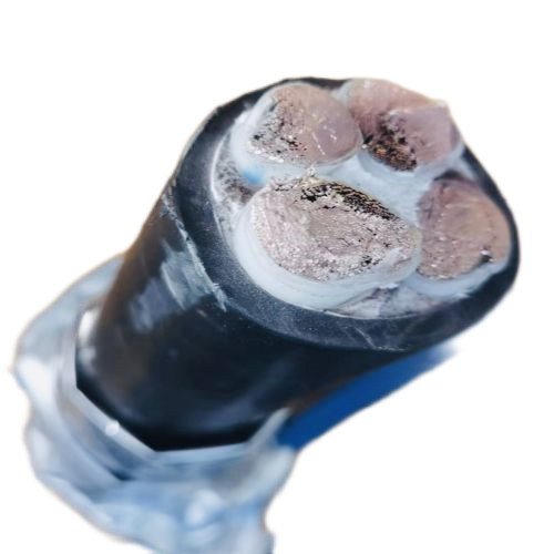 �����������ǲ���Z6���й�������ҳ����