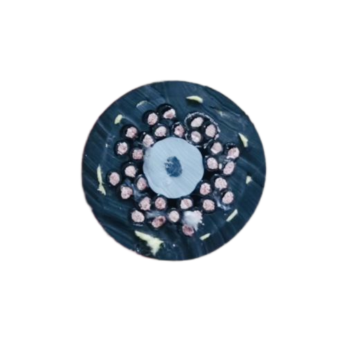 �����������ǲ���Z6���й�������ҳ����