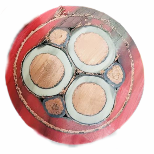 �����������ǲ���Z6���й�������ҳ����