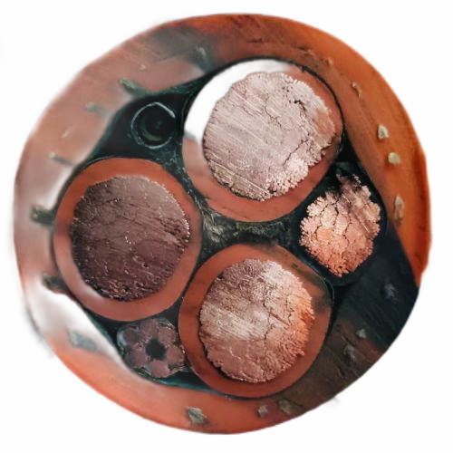 �����������ǲ���Z6���й�������ҳ����