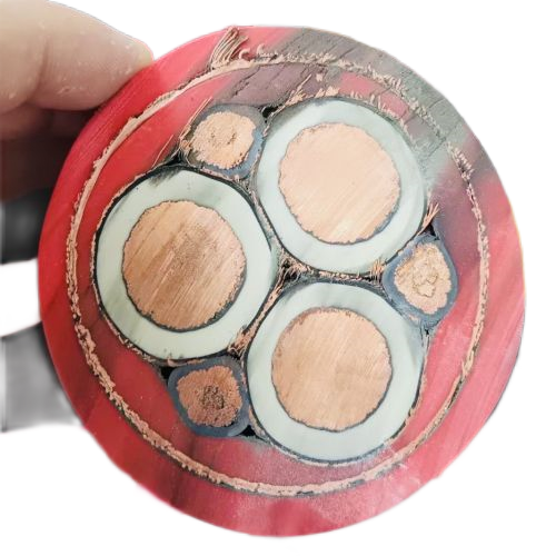 �����������ǲ���Z6���й�������ҳ����