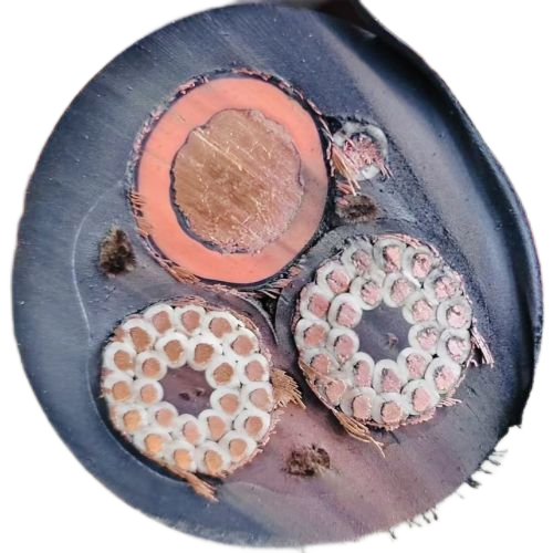 �����������ǲ���Z6���й�������ҳ����