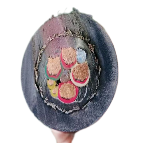 �����������ǲ���Z6���й�������ҳ����