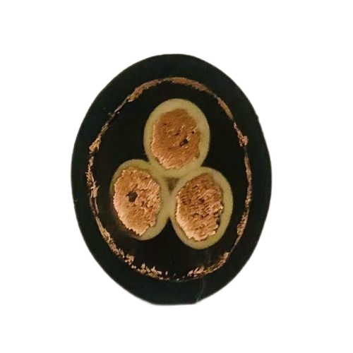 �����������ǲ���Z6���й�������ҳ����