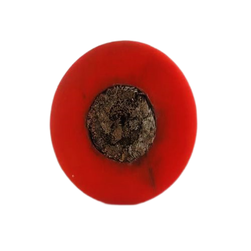 �����������ǲ���Z6���й�������ҳ����