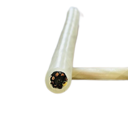 �����������ǲ���Z6���й�������ҳ����